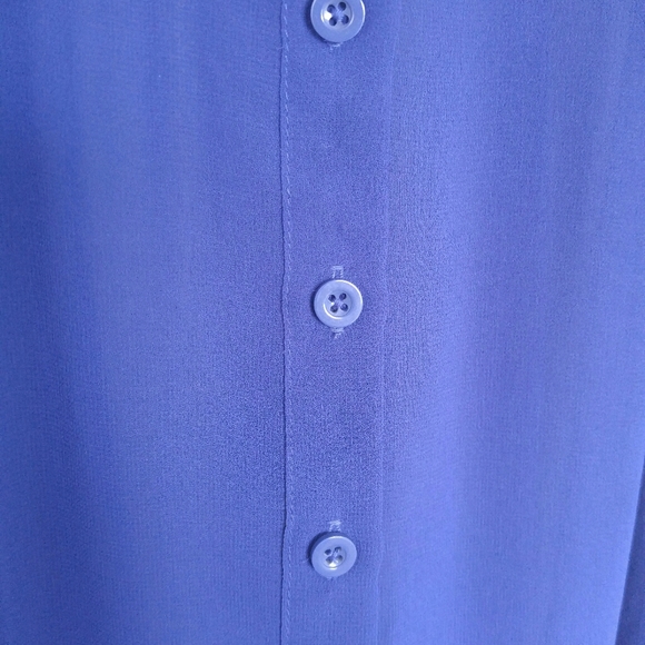 Royal Blue Sheer Sleeveless Blouse - Picture 9 of 11